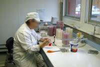 Fabrication des yaourts - Laboratoire d'analyse microbiologique (contrôle hygiène et qualité)